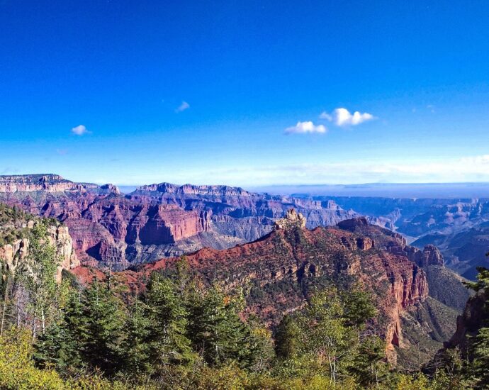 north rim grand canyon view